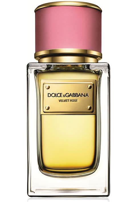 عطر dolce gabbana|velvet rose dolce and gabbana.